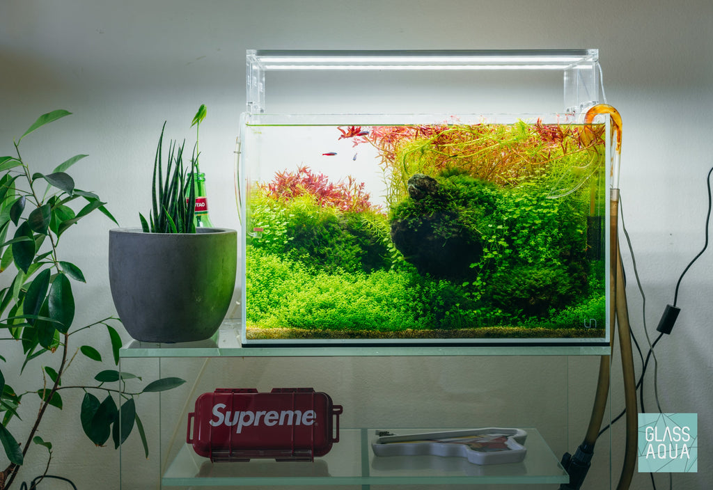 Pro Aquascaping Tool Kit