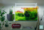Pro Aquascaping Tool Kit