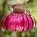 Metal Sunflower Bird Feeder with Garden Stake, Pink Flower Design