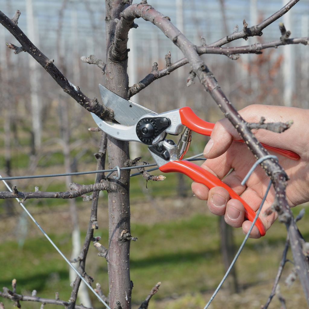 Professional Bypass Pruning Shears with Forged Aluminum Handles