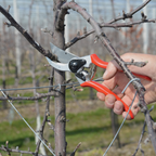 Professional Bypass Pruning Shears with Forged Aluminum Handles