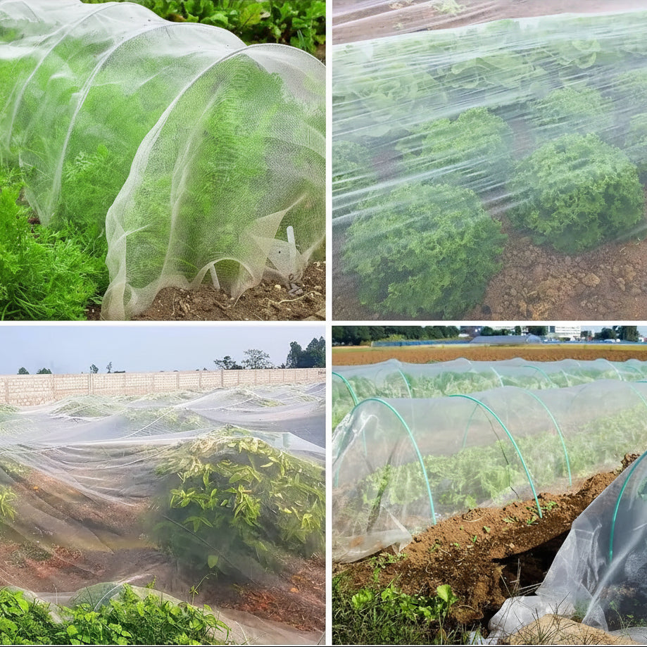 BUGBARRIER – HDPE Insect Net for Breathable Plant Protection & Pest Control