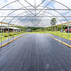 Polypropylene Woven Ground Cover