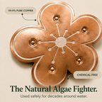 Pure Copper Bird Bath Purifier Disc for Algae Control