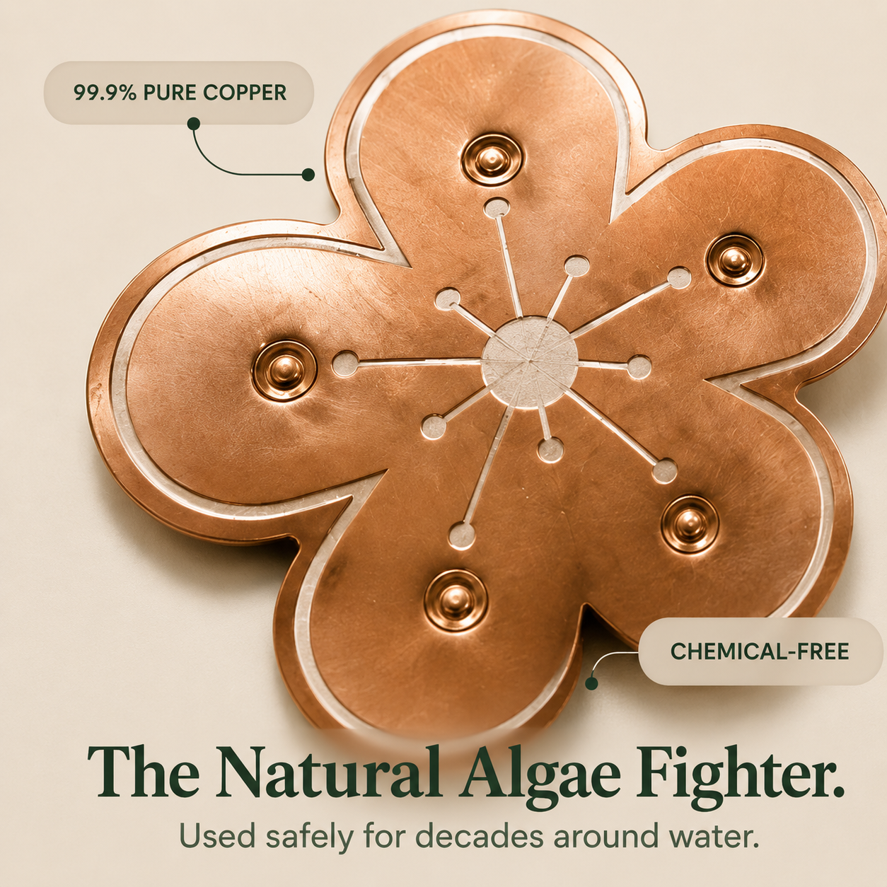 Pure Copper Bird Bath Purifier Disc for Algae Control