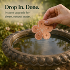 Pure Copper Bird Bath Purifier Disc for Algae Control