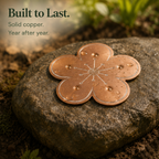 Pure Copper Bird Bath Purifier Disc for Algae Control