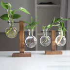Glass Vase with Wooden Stand, Decorative Tabletop Flower Vase