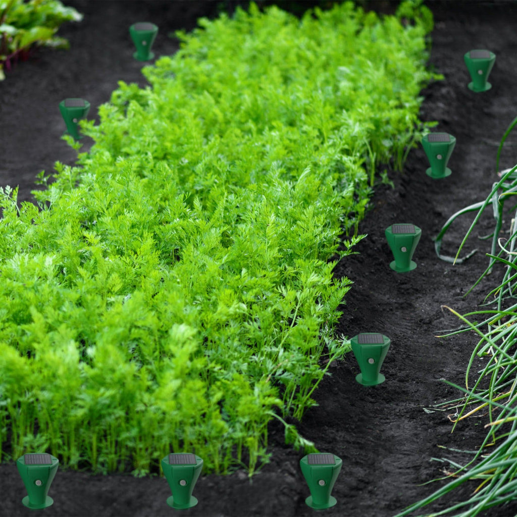 Solar mole repellent stakes installed around a vegetable garden for outdoor pest control