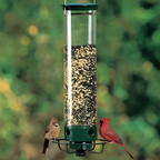 Squirrel-Proof Bird Feeder for Hassle-Free Backyard Birdwatching