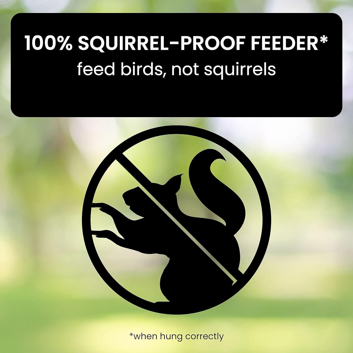Squirrel-Proof Bird Feeder for Hassle-Free Backyard Birdwatching