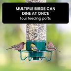 Squirrel-Proof Bird Feeder for Hassle-Free Backyard Birdwatching