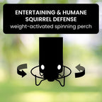 Squirrel-Proof Bird Feeder for Hassle-Free Backyard Birdwatching