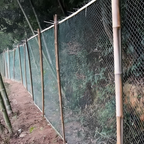 UV-resistant garden netting fence installed around plants to help protect gardens from birds and deer