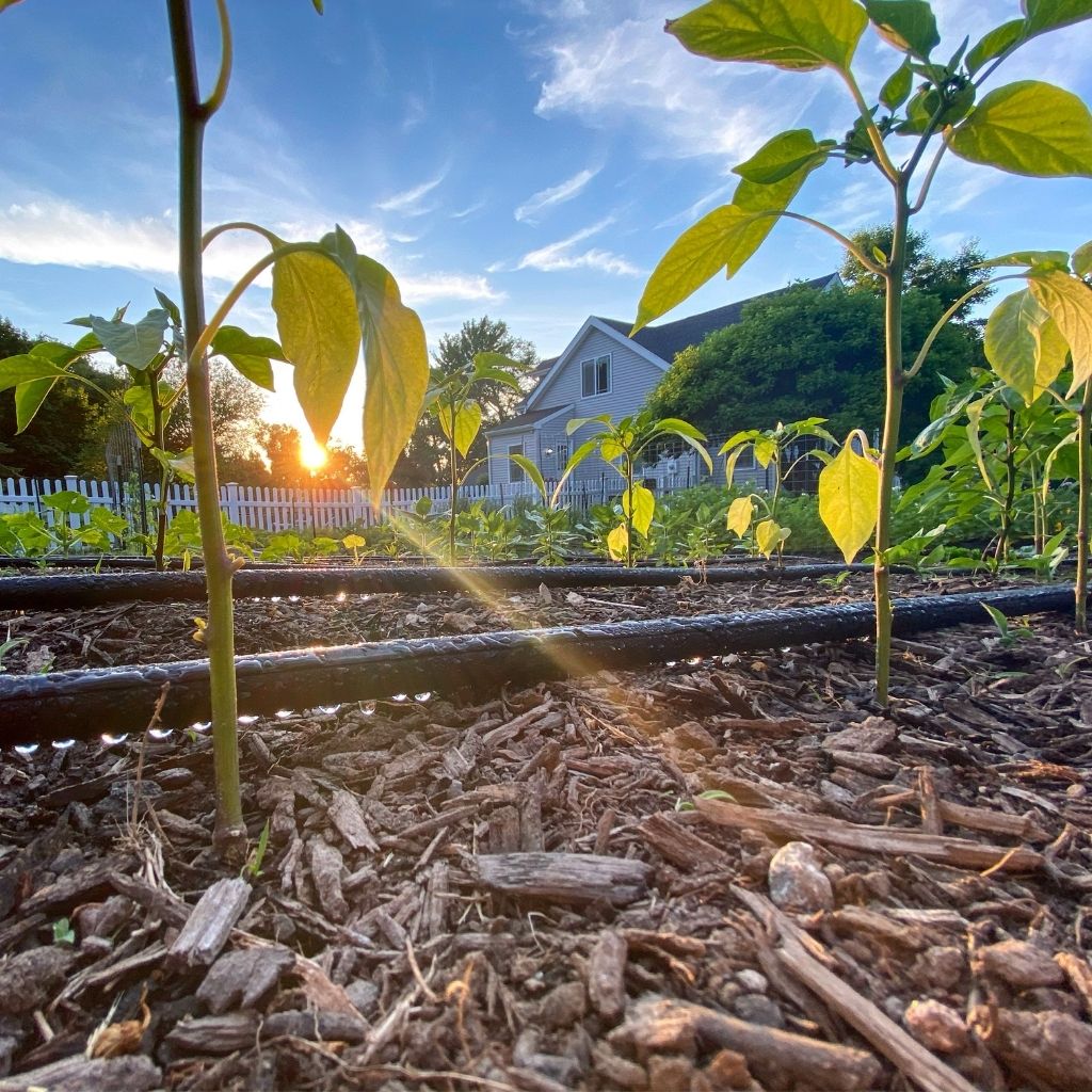 Master Gardener Kit - 20 Row