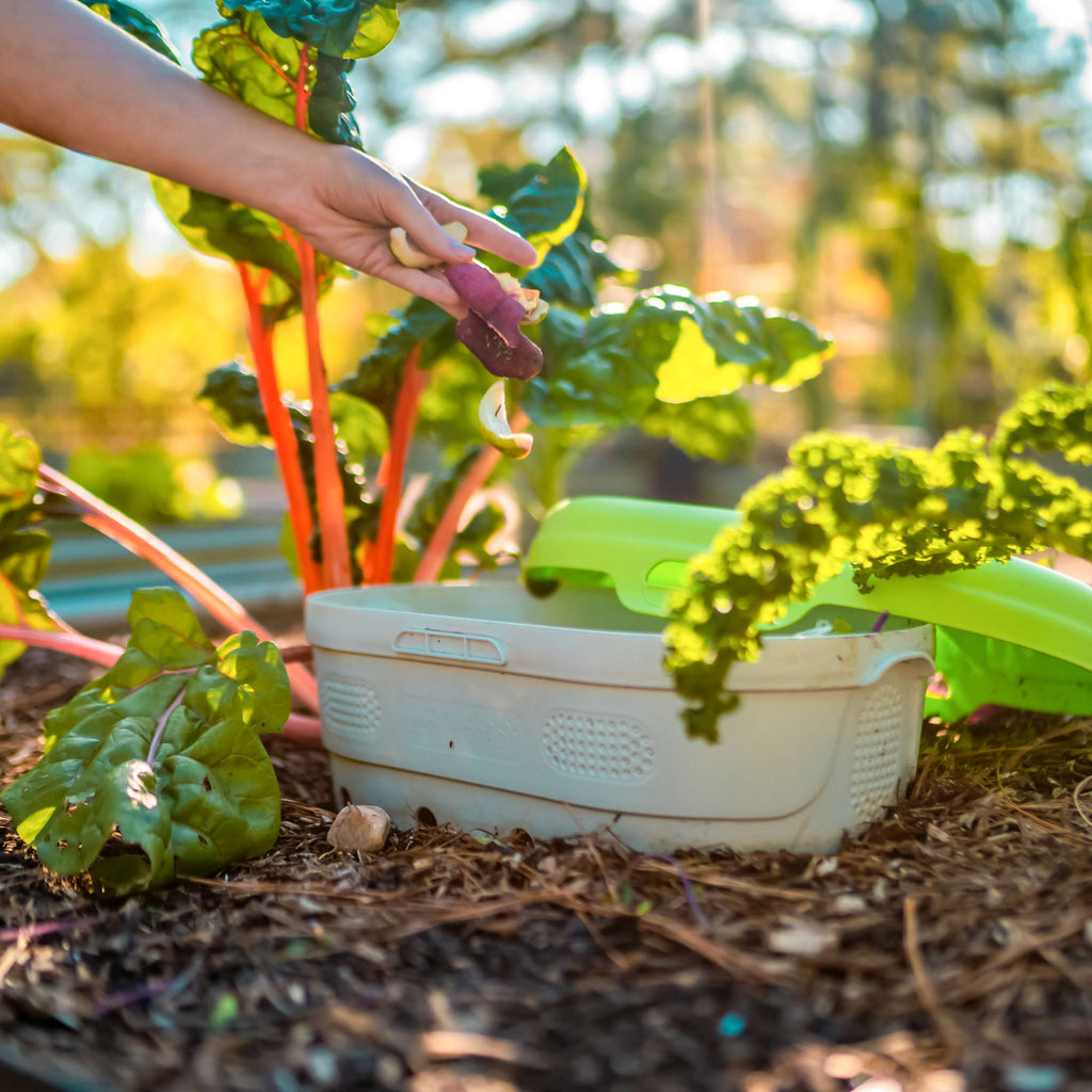In-Ground Worm Composter Bin for Garden Beds