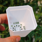 10-Pack Small Square Nursery Pots with Drainage Holes
