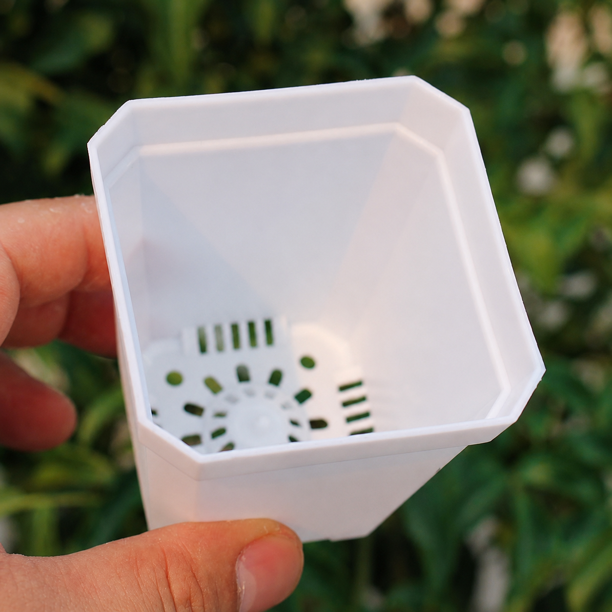 10-Pack Small Square Nursery Pots with Drainage Holes