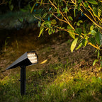 Flood Spike Light Adjustable Solar Spotlight with Cool White & Warm White Modes