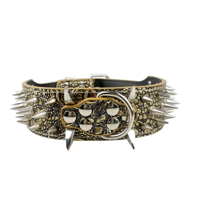 Black leather dog collar with ornate gold hardware and spikes