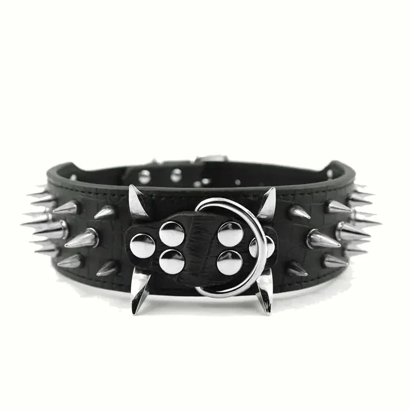 Black leather dog collar with silver spikes and wide buckle