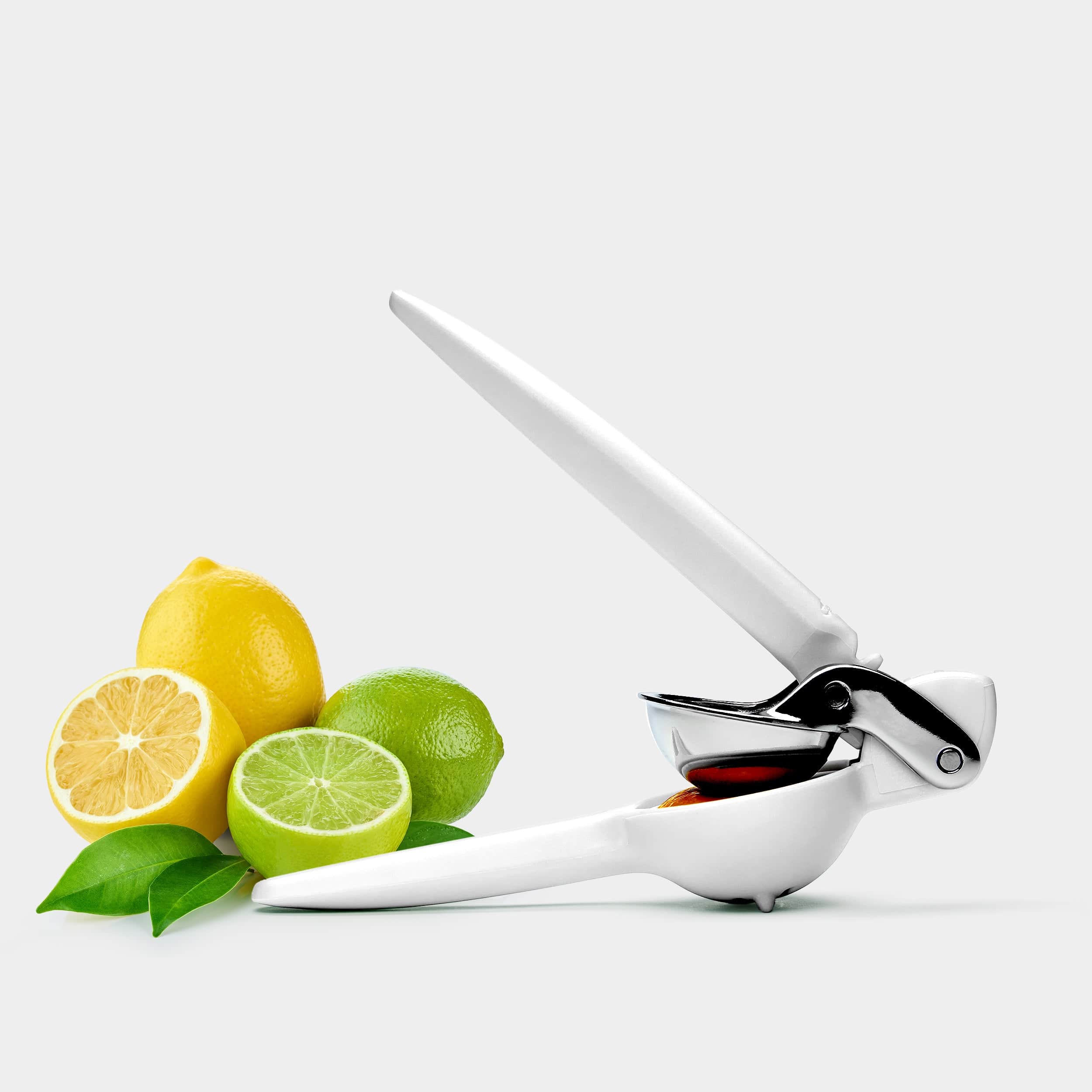 Citrus Juicer