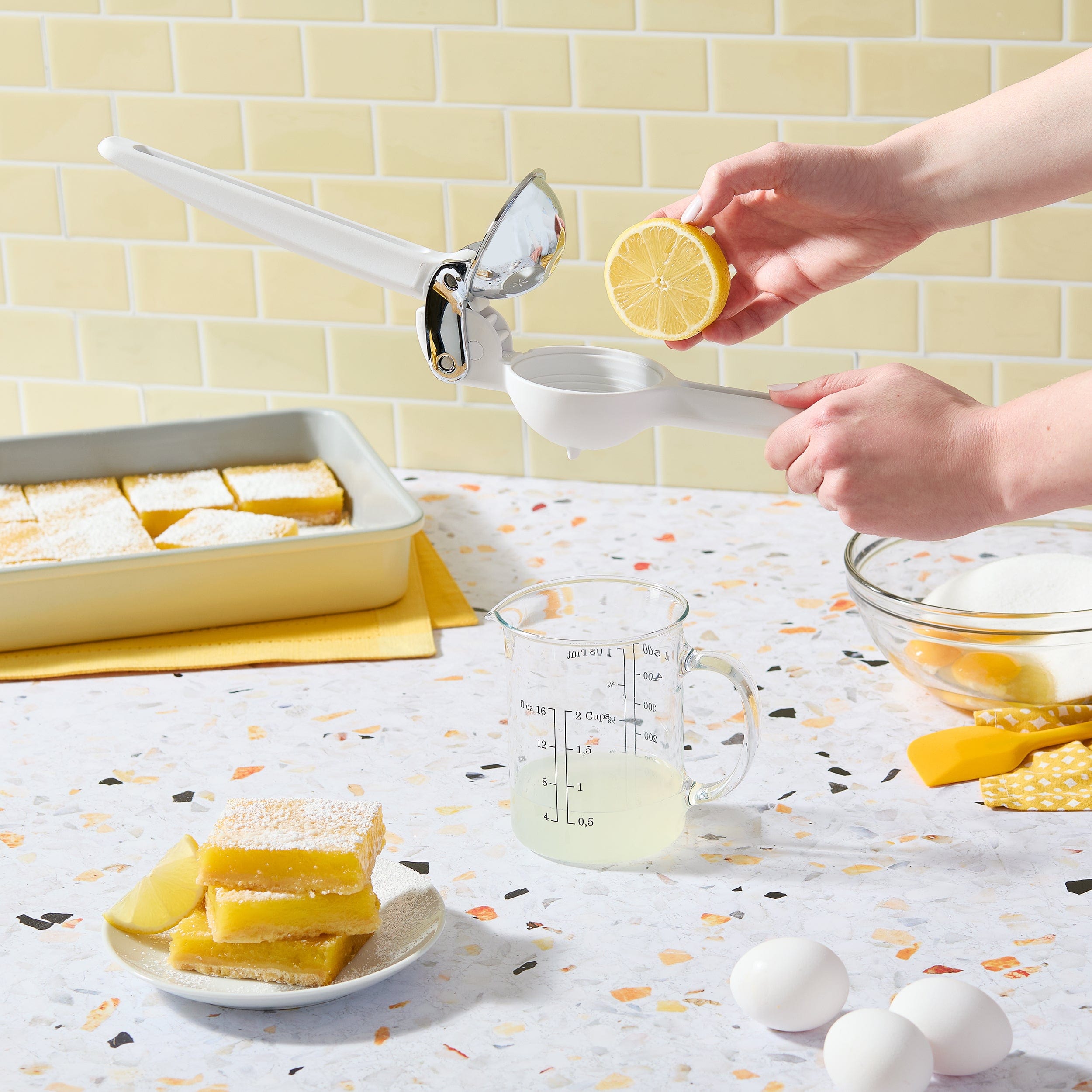 Citrus Juicer