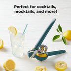 Citrus Juicer