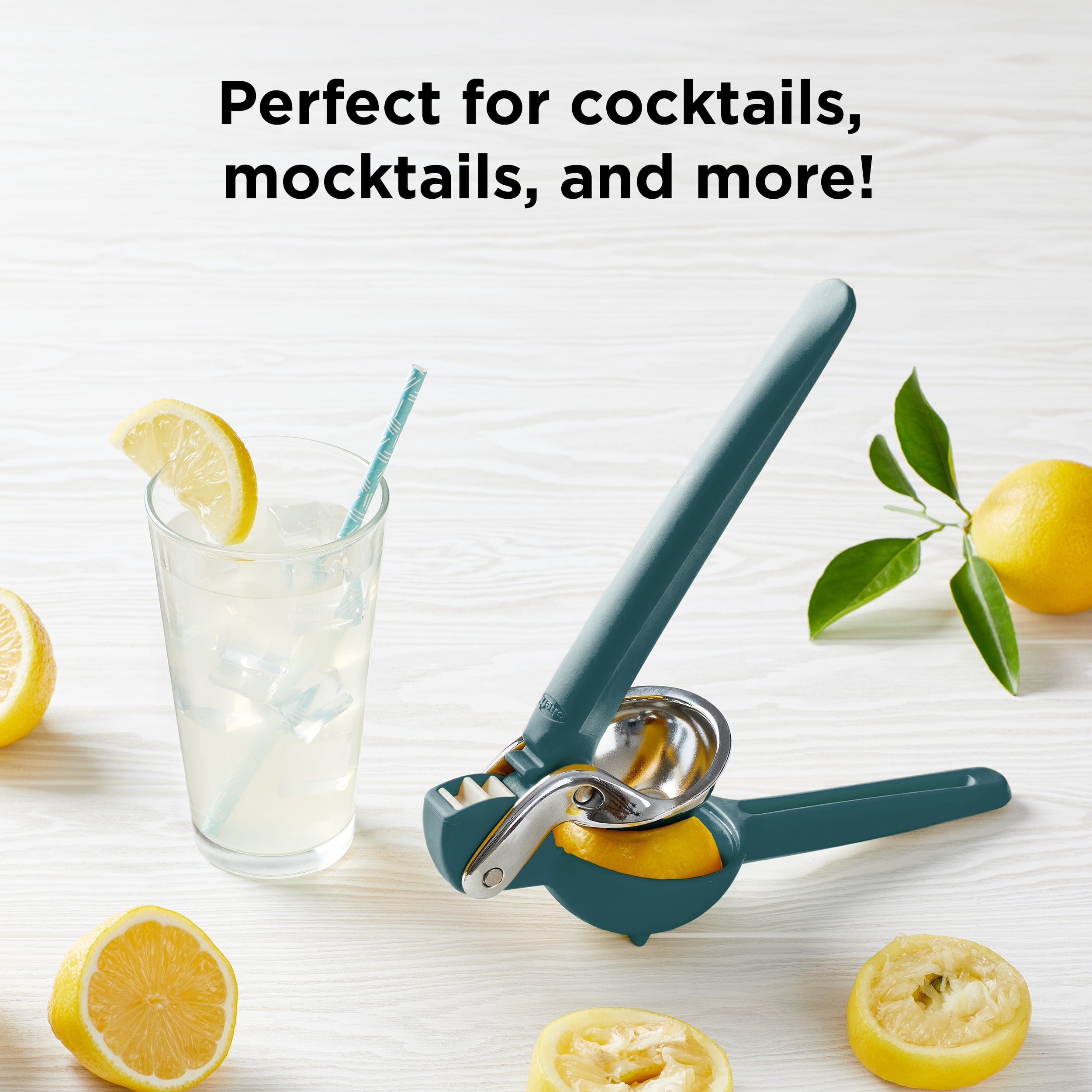 Citrus Juicer