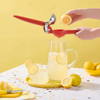 Citrus Juicer