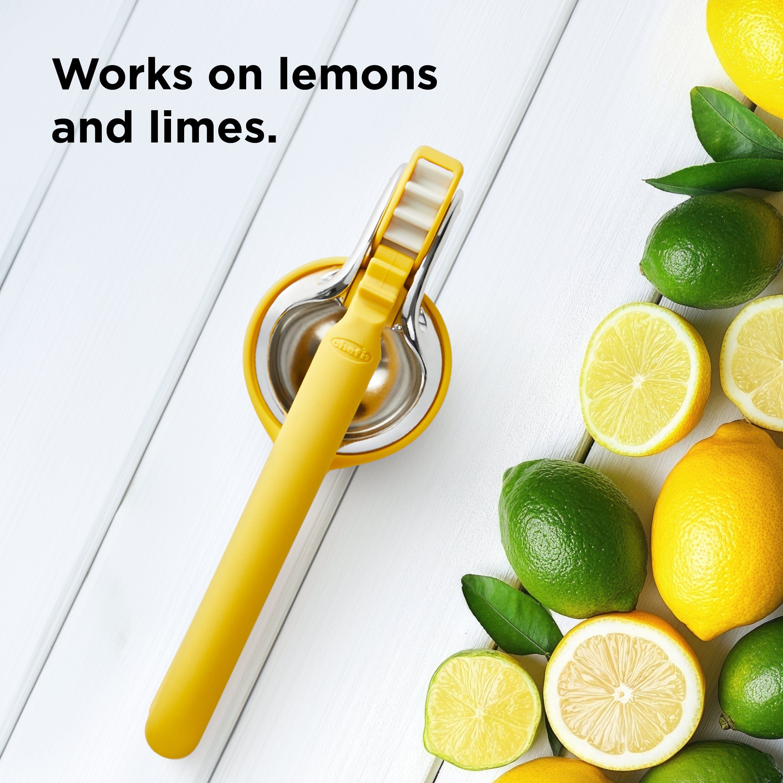 Citrus Juicer
