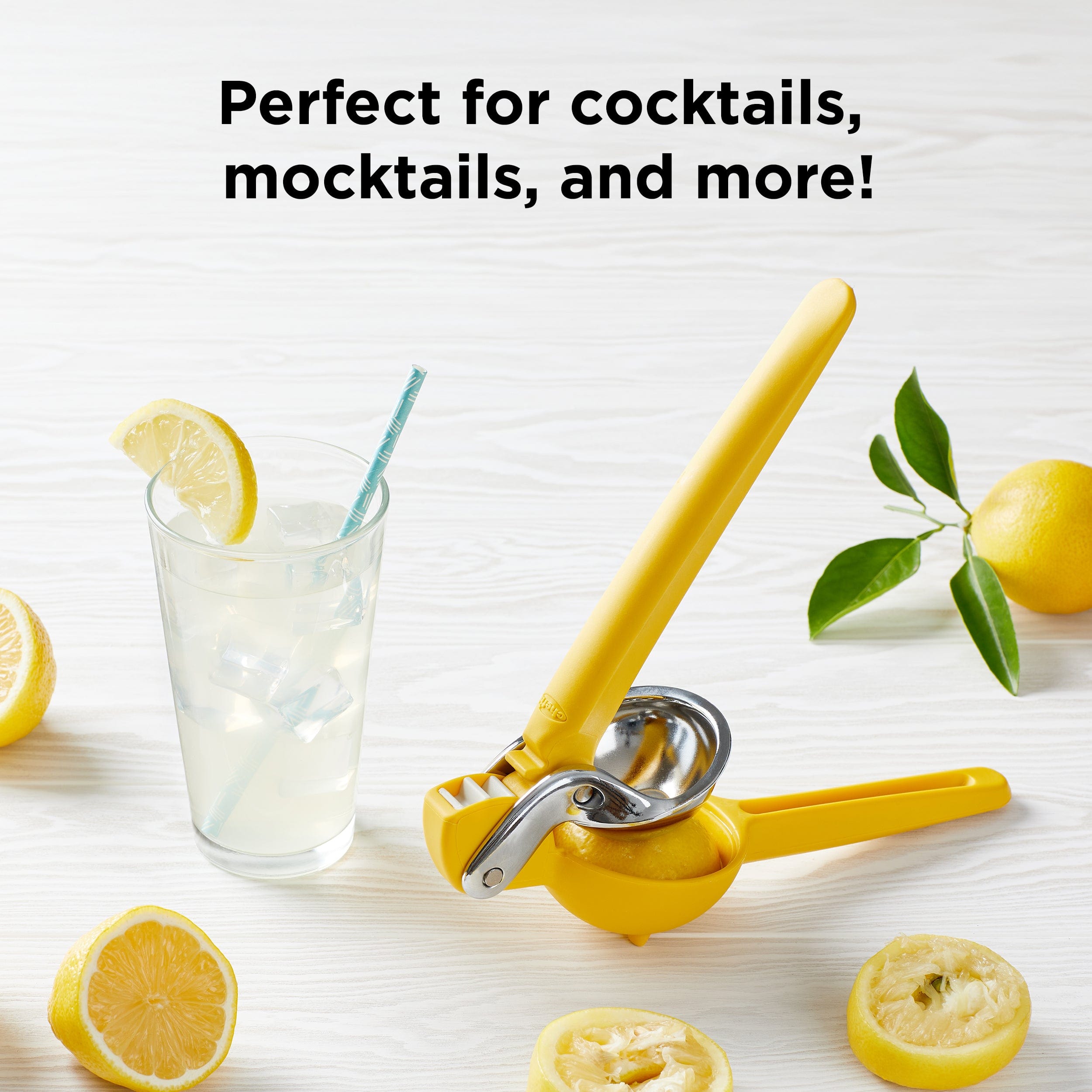 Citrus Juicer