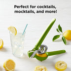 Citrus Juicer