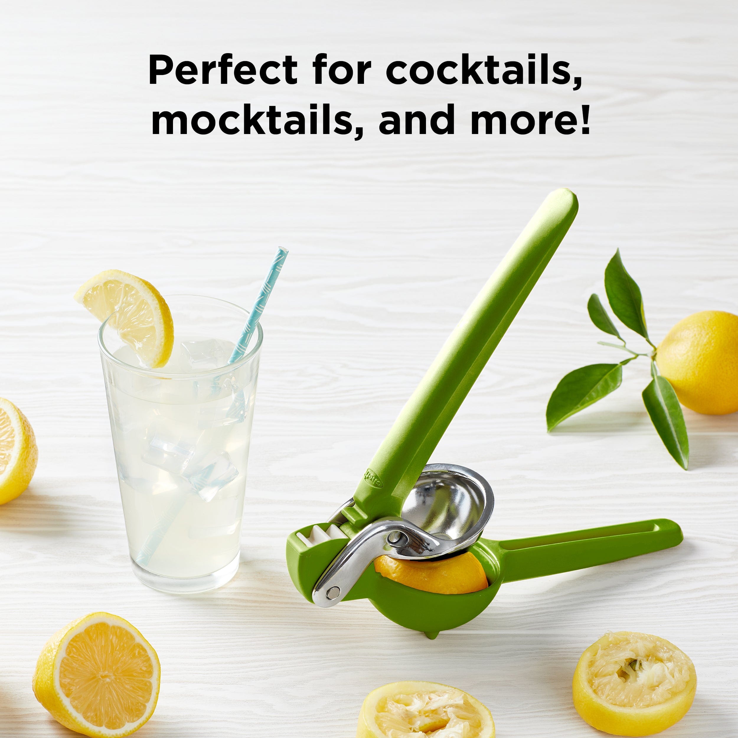 Citrus Juicer