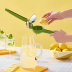Citrus Juicer
