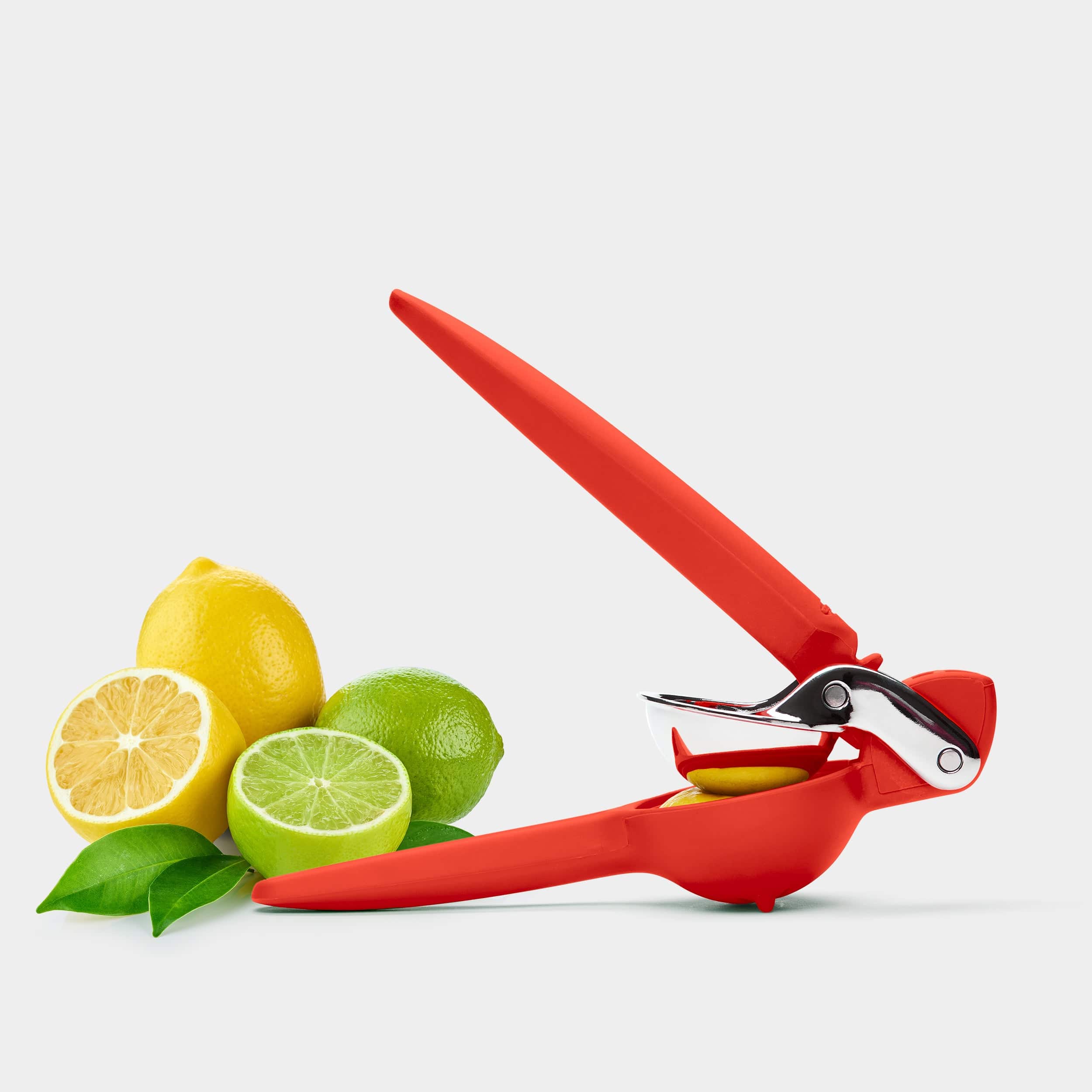 Citrus Juicer