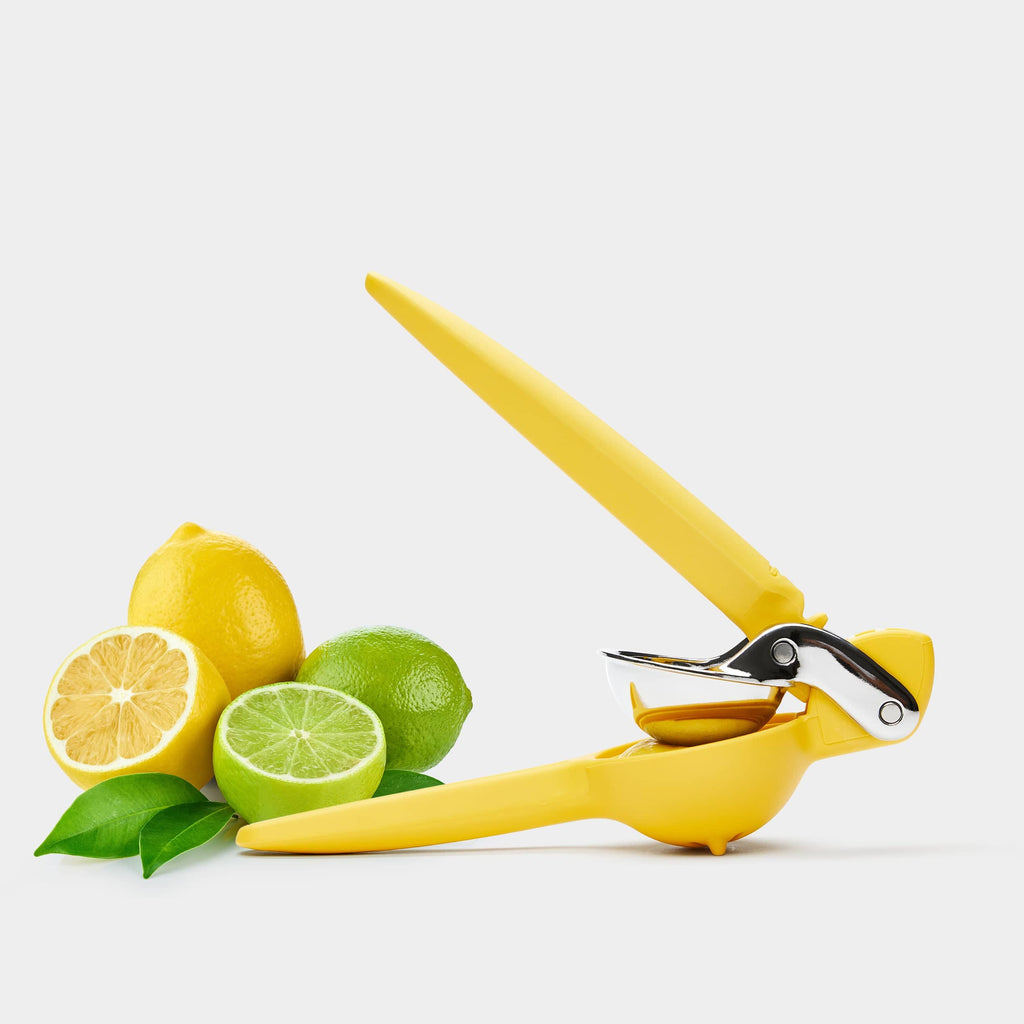 Citrus Juicer