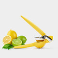 Citrus Juicer