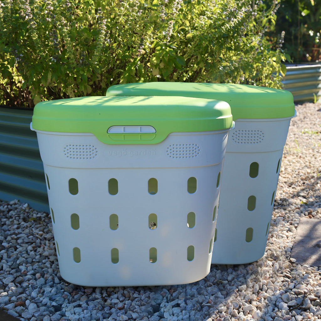 In-Ground Worm Composter Bin for Garden Beds