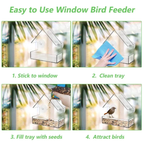 Clear View Window Bird Feeder for Bird Watching with Suction Cups