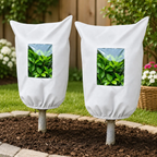 Plant Frost Protection Cover – Breathable Reusable Winter Plant Shield