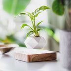 Magnetic Levitating Flower Pot Floating Rotating Planter for Home Office Decor