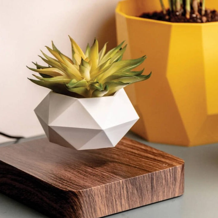 Magnetic Levitating Flower Pot Floating Rotating Planter for Home Office Decor