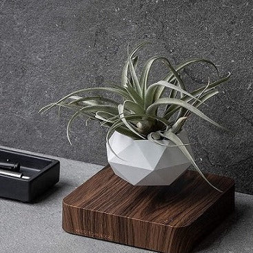 Magnetic Levitating Flower Pot Floating Rotating Planter for Home Office Decor