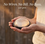 Decorative Solar Fence Lights with Warm Scallop Glow, 6 Pack