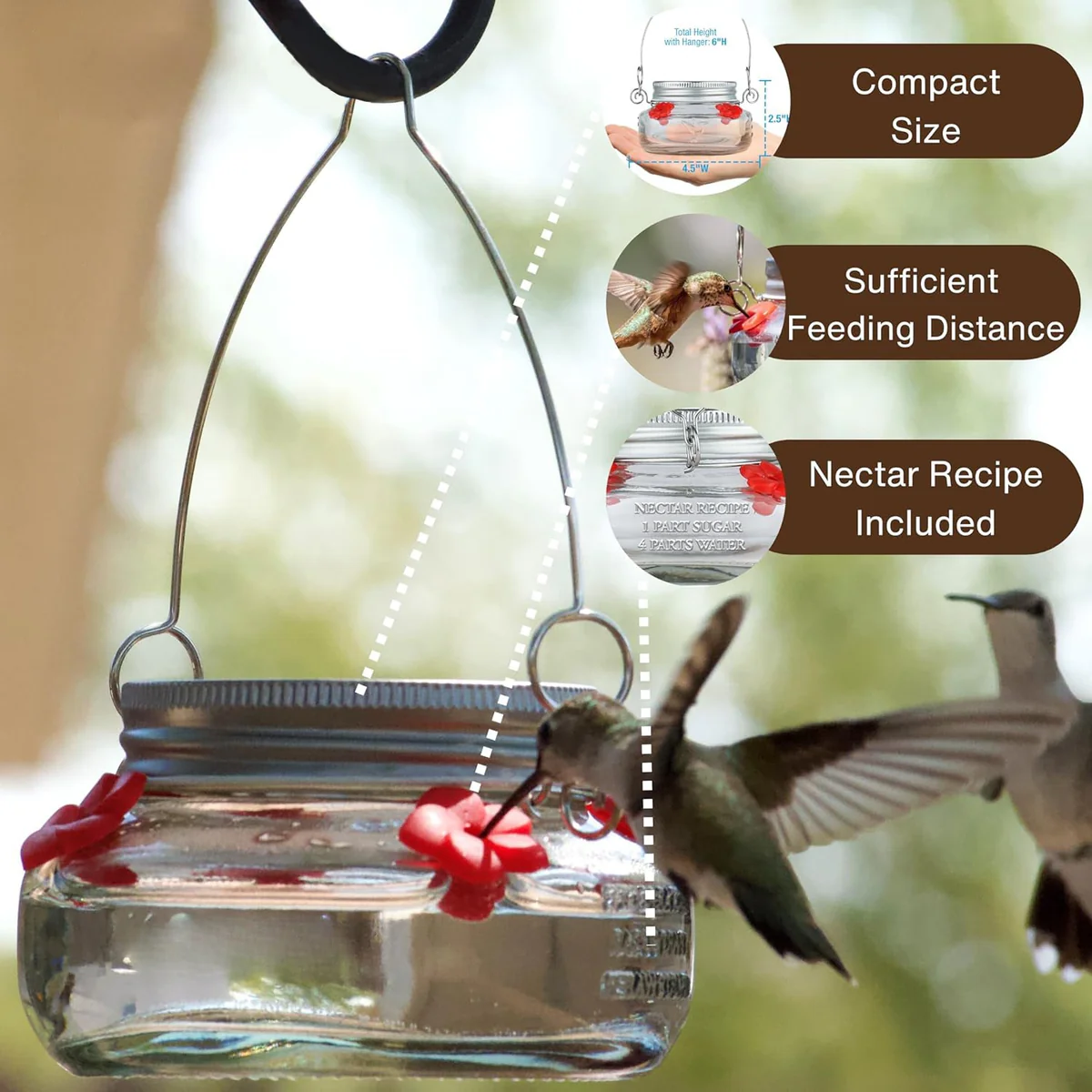 Mason jar hummingbird feeder with compact size, feeding space and nectar recipe details