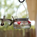Hummingbirds feeding from a hanging mason jar hummingbird feeder