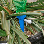 Easy Plant Watering Funnel Set