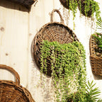 Handwoven Rattan Hanging Wall Planter for Indoor and Outdoor Decor