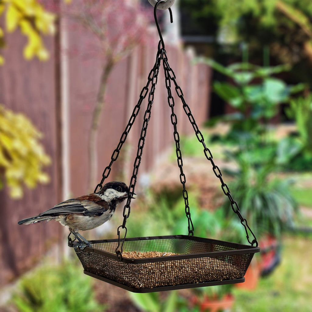 Black Hanging Platform Bird Feeder with Mesh Tray for Outdoor Birds
